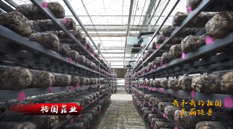美麗隨縣:裕國股份同萬名群眾共同唱響“我和我的祖國”